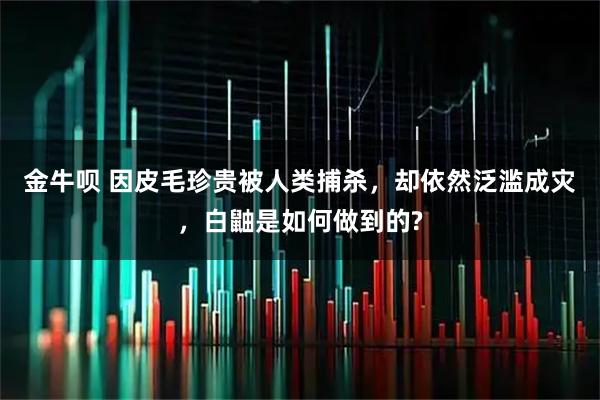 金牛呗 因皮毛珍贵被人类捕杀，却依然泛滥成灾，白鼬是如何做到的?